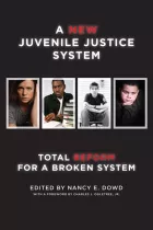 Product cover for New Juvenile Justice System