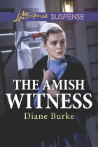 Product cover for Amish Witness