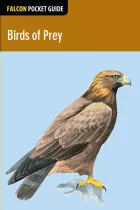 Product cover for Birds of Prey