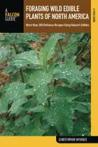 Product cover for Foraging Wild Edible Plants of North America
