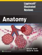 Product cover for  Anatomy