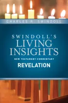 Product cover for Insights on Revelation