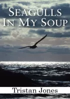 Product cover for Seagulls in My Soup