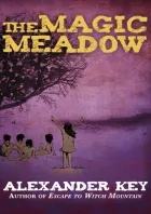 Product cover for The Magic Meadow