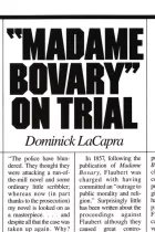 Product cover for Madame Bovary on Trial