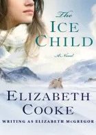 Product cover for The Ice Child