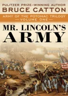 Product cover for Mr. Lincoln's Army