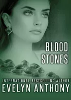 Product cover for Blood Stones