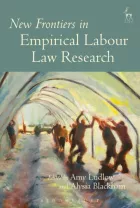 Product cover for New Frontiers in Empirical Labour Law Research