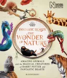 Product cover for  The Book of the Exhibition