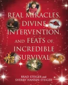 Product cover for Real Miracles, Divine Intervention, and Feats of Incredible Survival