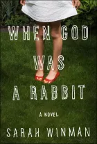 Product cover for When God Was a Rabbit