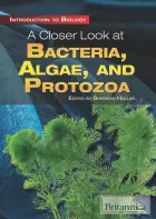 Product cover for A Closer Look at Bacteria, Algae, and Protozoa