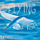 Product cover for Flying Fish