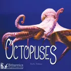 Product cover for Octopuses