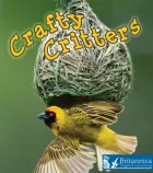 Product cover for Crafty Critters