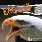 Product cover for Eagles