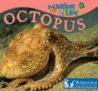 Product cover for Octopus