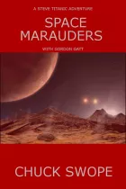 Product cover for Space Marauders