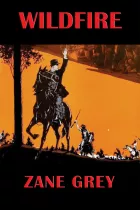 Product cover for Wildfire
