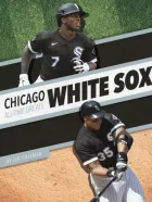 Product cover for Chicago White Sox All-Time Greats