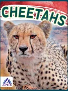 Product cover for Cheetahs
