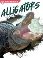 Product cover for Alligators