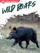 Product cover for Wild Boars