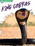 Product cover for King Cobras