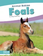 Product cover for Foals