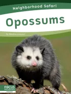 Product cover for Opossums