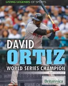Product cover for  World Series Champion