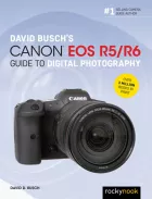 Product cover for David Busch's Canon EOS R5/R6 Guide to Digital Photography