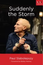 Product cover for Suddenly the Storm