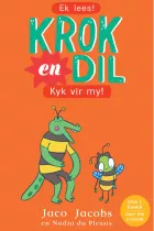 Product cover for Krok en Dil Vlak 1 Boek 6