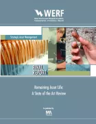 Product cover for Remaining Asset Life