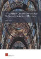 Product cover for The European Convention on Human Rights as an Instrument of Tort Law