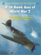 Product cover for P-36 Hawk Aces of World War 2