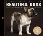 Product cover for Beautiful Dogs