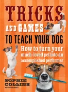 Product cover for  How to turn your much loved pet