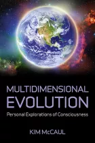 Product cover for Multidimensional Evolution