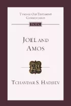 Product cover for Joel and Amos