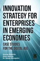 Product cover for Innovation Strategy for Enterprises in Emerging Economies