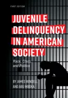 Product cover for Juvenile Delinquency in American Society