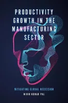 Product cover for Productivity Growth in the Manufacturing Sector