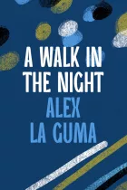 Product cover for A Walk in the Night