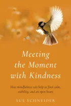 Product cover for Meeting the Moment with Kindness