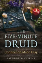 Product cover for The Five-Minute Druid