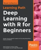 Product cover for Deep Learning with R for Beginners