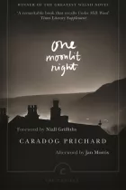 Product cover for One Moonlit Night